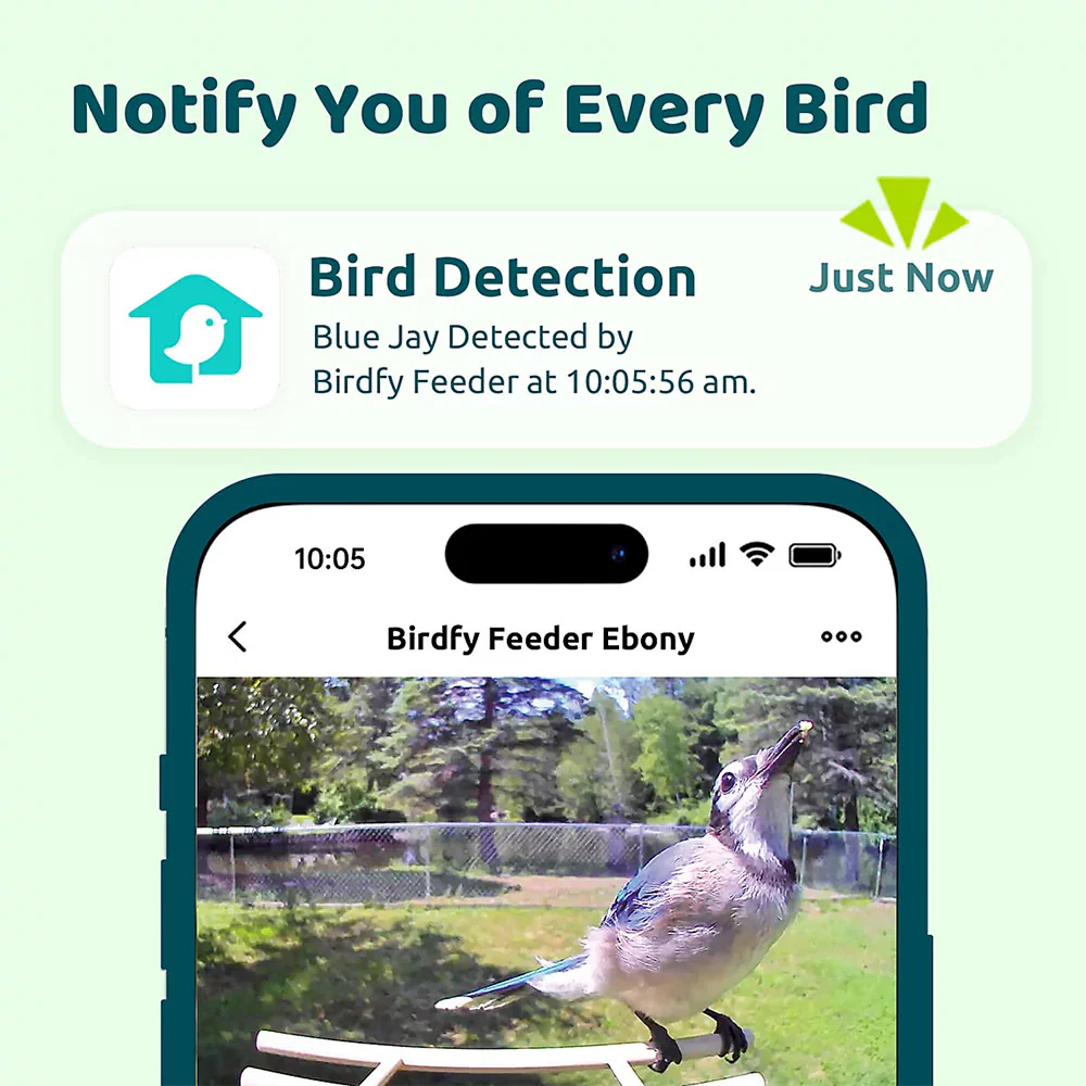 Birdfy Ebony Lite Smart Bird Feeder - Image 3