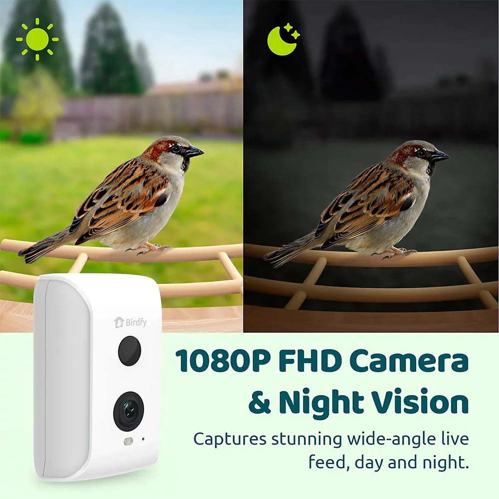 Birdfy Ebony Lite Smart Bird Feeder - Image 4