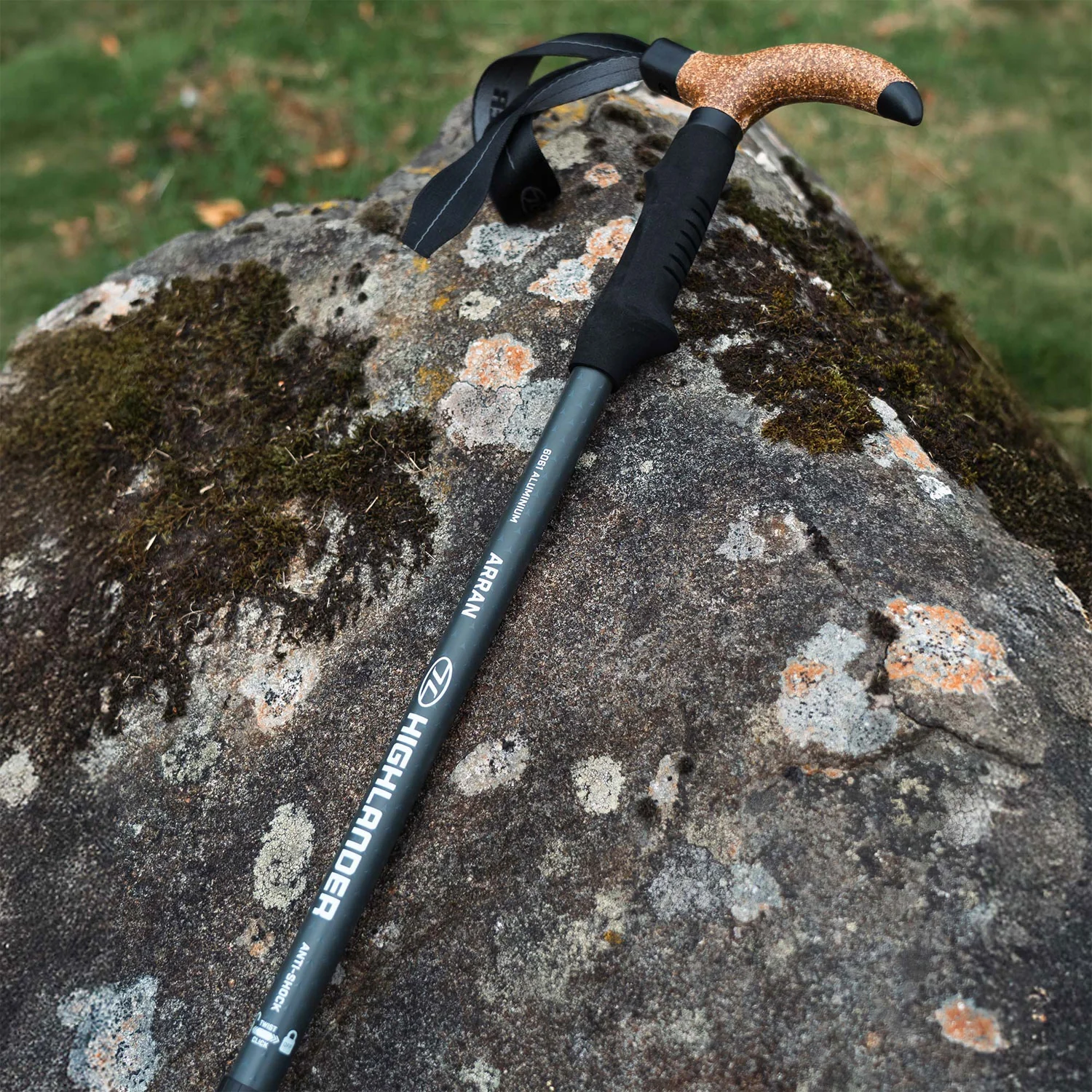 Highlander Arran Walking Pole (Single) - Image 12